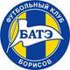 Белорусский клуб БАТЭ сыграет в групповом турнире Лиги чемпионов