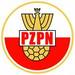 Выборы президента Федерации футбола Польши состоятся 30 октября
