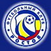 Ростовчане начали готовиться к игре с "Томью".